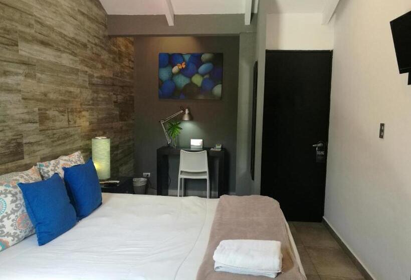 اتاق استاندارد یک نفره, Boutique Valverde Santa Elena