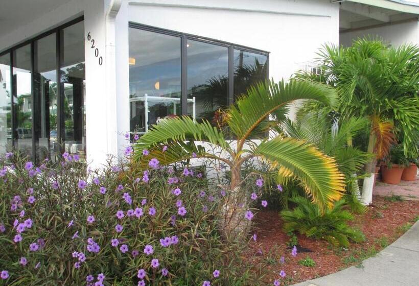 Номер Стандарт, Shalimar Motel