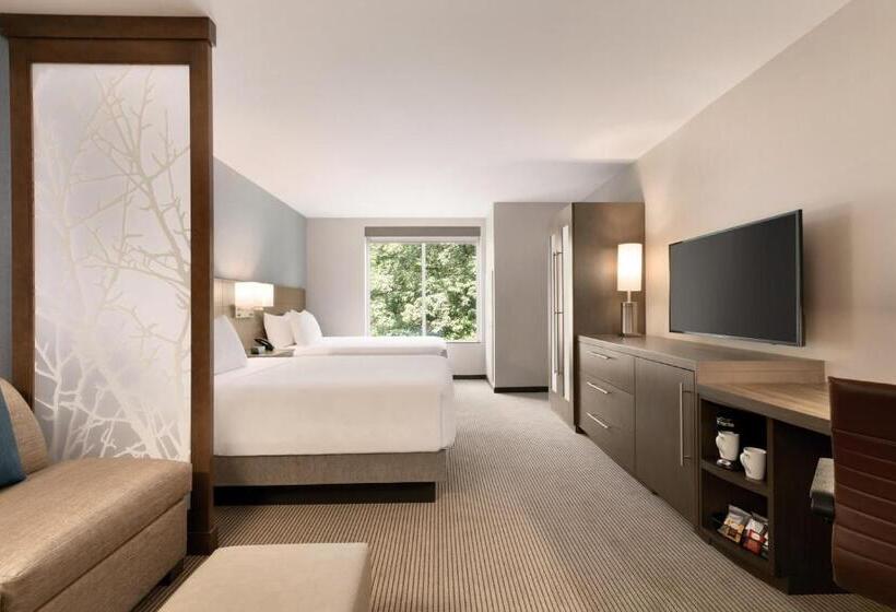 Номер Стандарт 2 Двуспальные Кровати, Hyatt Place Fort Lee/george Washington Bridge