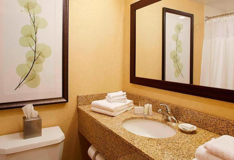 Люкс Executive Кровать Кинг, Courtyard By Marriott Ithaca Airport/university