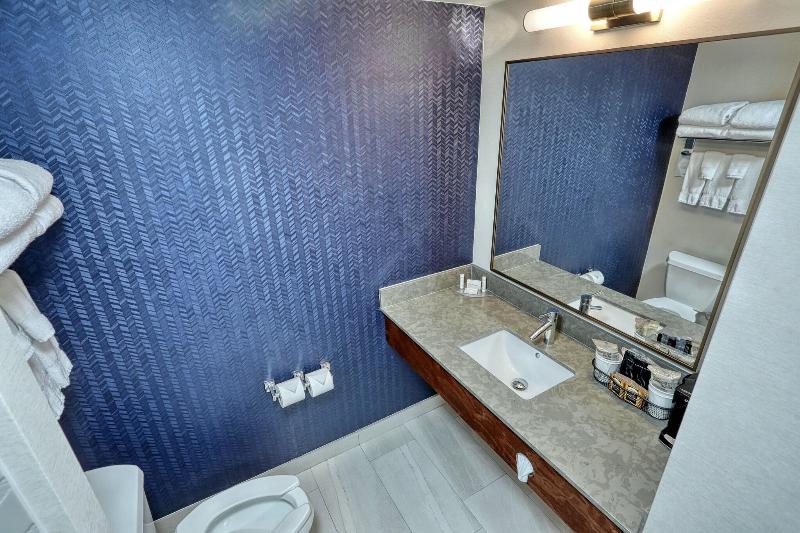 스탠다드 룸 킹사이즈 침대, Fairfield Inn & Suites Woodbridge