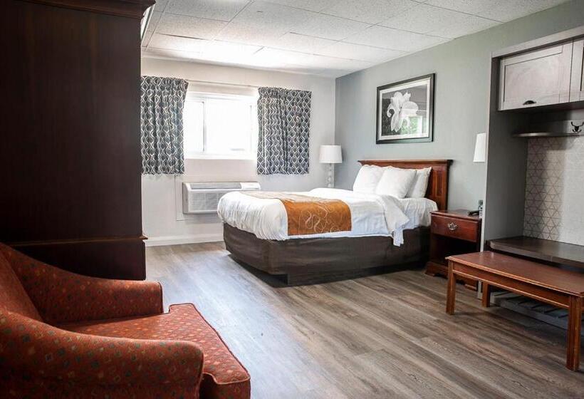 스탠다드 룸, Bedford Motel