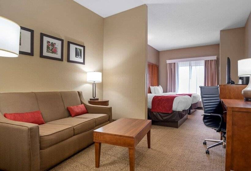 스위트, Comfort Suites Oxford I 20 Exit 188