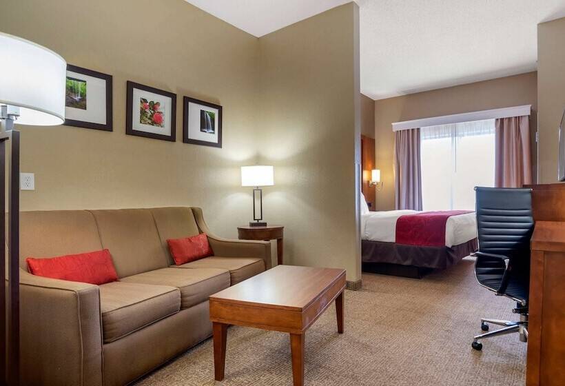 스위트, Comfort Suites Oxford I 20 Exit 188