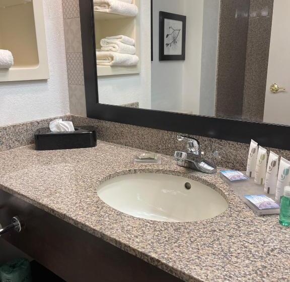 스탠다드 룸 킹사이즈 침대, Country Inn & Suites By Radisson, Merrillville, In