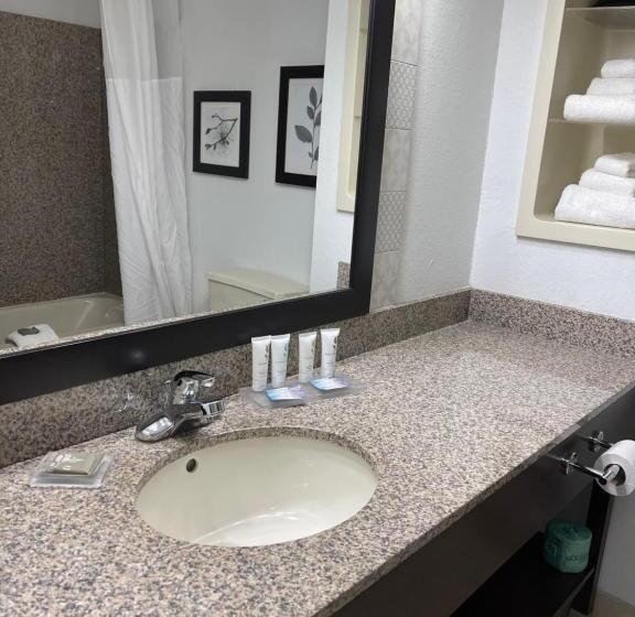 キングサイズベッドのスイートルーム, Country Inn & Suites By Radisson, Merrillville, In