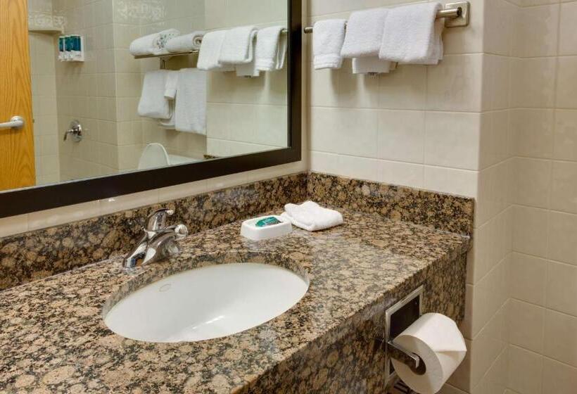 חדר דלוקס מותאם לאנשים עם מוגבלויות, Drury Inn & Suites Amarillo