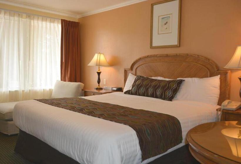 Стандартный Номер Кровать Кинг, Oasis Inn And Suites