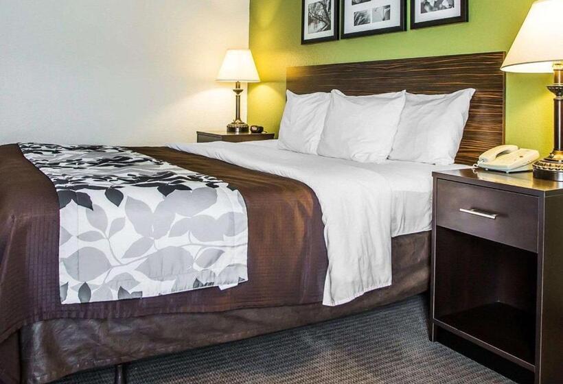 스탠다드 룸 킹사이즈 침대, Sleep Inn & Suites