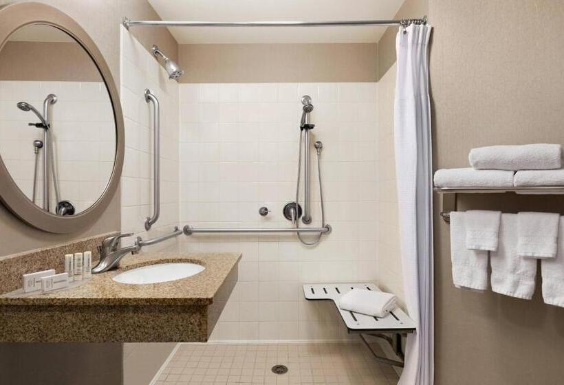 스위트 킹사이즈 침대, Springhill Suites Dulles Airport