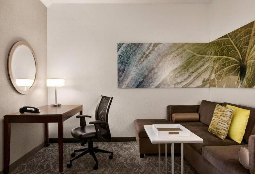 스위트 킹사이즈 침대, Springhill Suites Dulles Airport