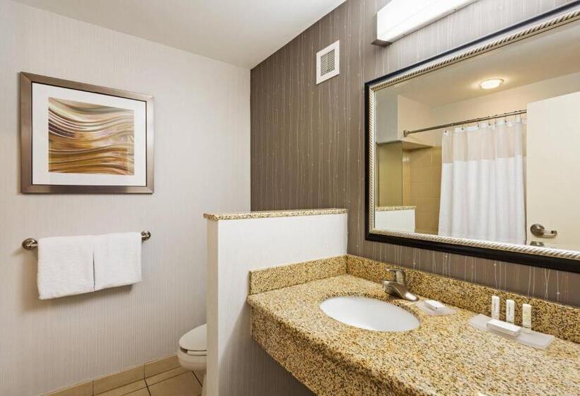 带大床的标准间, Courtyard By Marriott Knoxville Airport Alcoa