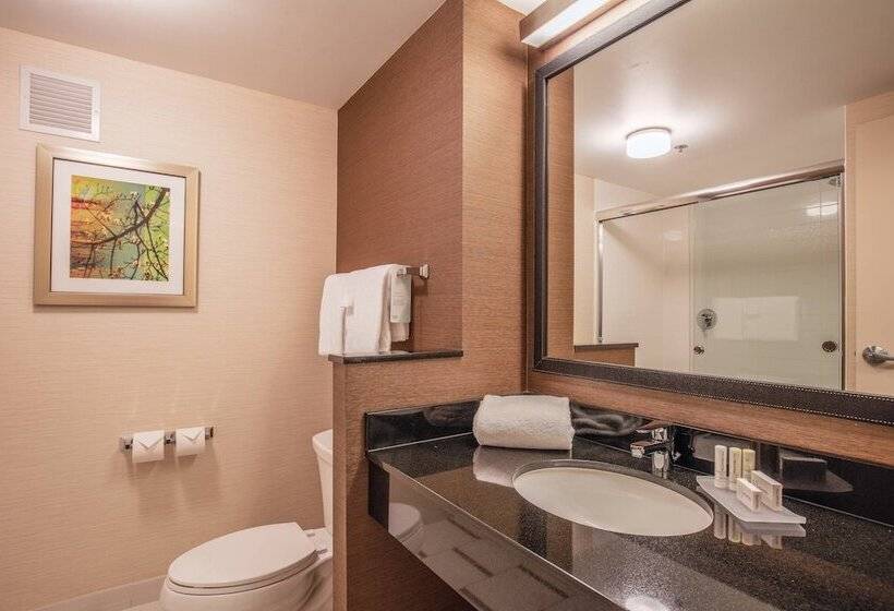 Studio Standard, Fairfield Inn And Suites Chicago Downtown River North