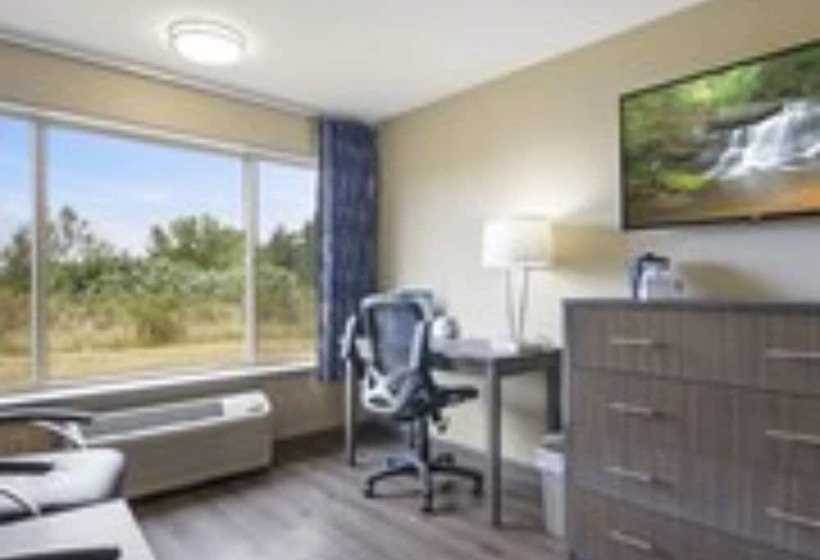 Номер Стандарт Индивидуальный Кровать Кинг, Oceanview Inn At The Arch