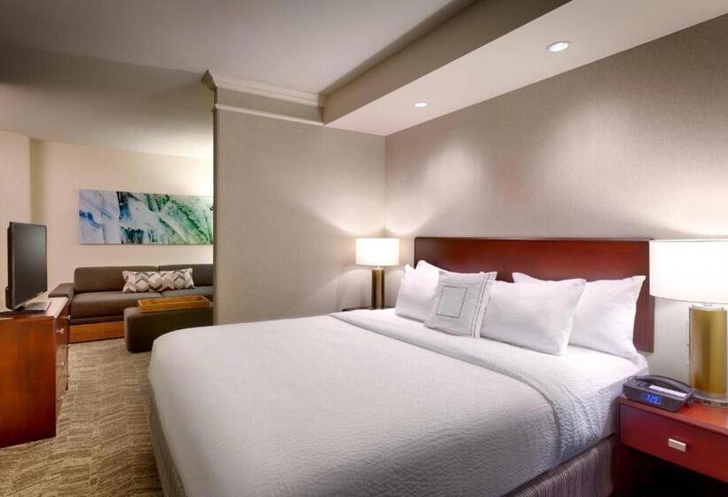 Студио Стандарт Кровать Кинг, Springhill Suites Lehi At Thanksgiving Point