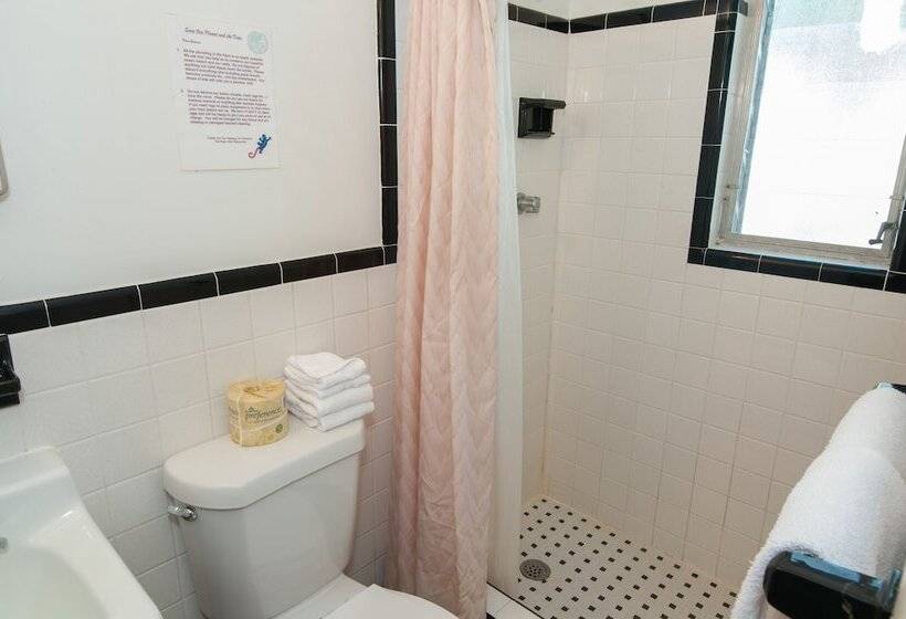 Номер Стандарт, Siesta Motel
