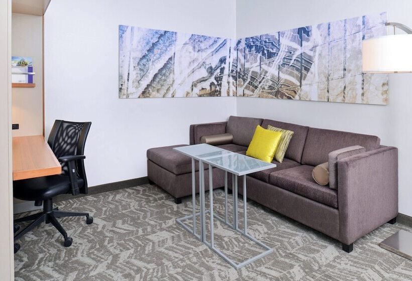 استودیوی استاندارد, Springhill Suites By Marriott Detroit Metro Airport Romulus