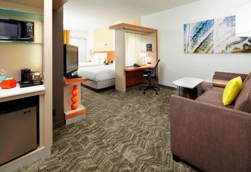 Студия Стандарт, Springhill Suites By Marriott Chicago Waukegan/gurnee
