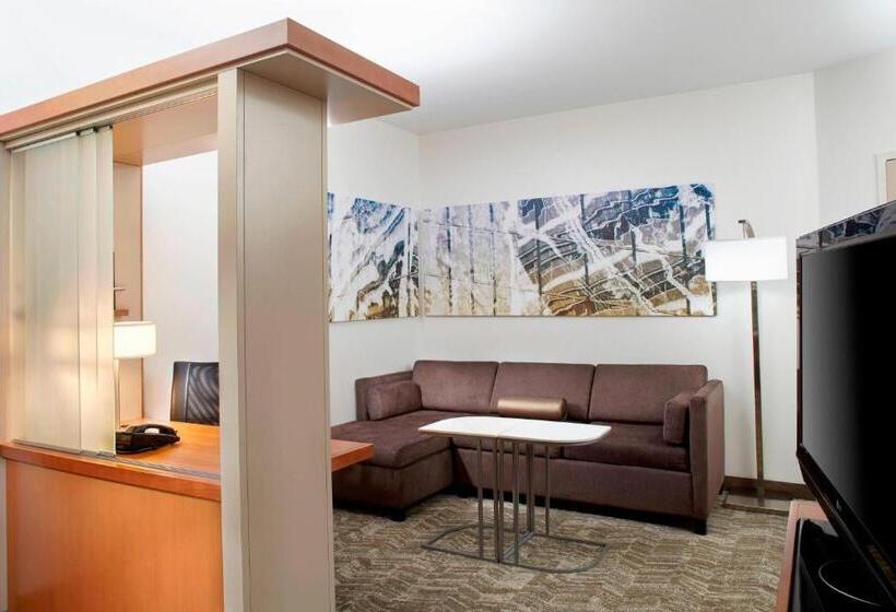 Студио Стандарт Кровать Кинг, Springhill Suites By Marriott Chicago Waukegan/gurnee