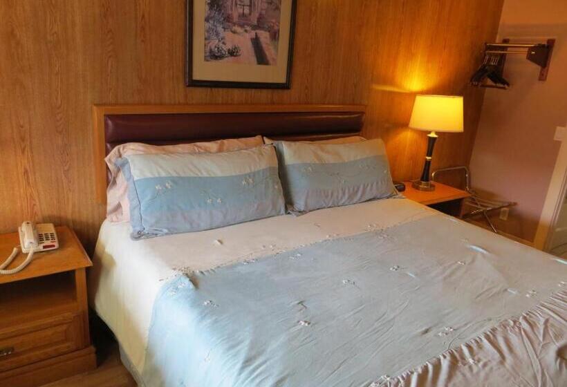 스탠다드 룸 킹사이즈 침대, Coast Inn And Spa