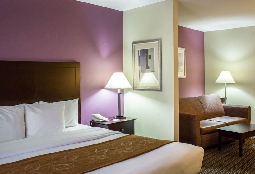 Люкс Адаптированный для Инвалидов, Comfort Suites