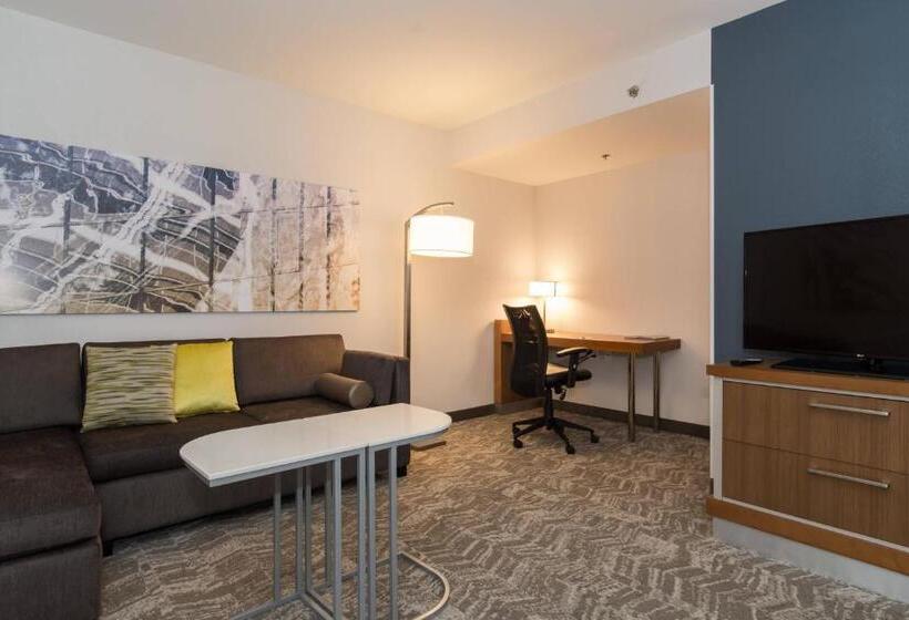 Люкс Кровать Кинг, Springhill Suites By Marriott Charlotte Ballantyne