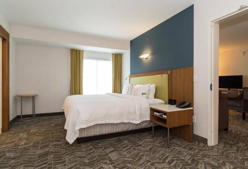 Люкс Кровать Кинг, Springhill Suites By Marriott Charlotte Ballantyne