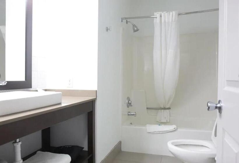 Стандартный Номер Кровать Кинг, Country Inn & Suites By Radisson, Sparta, Wi