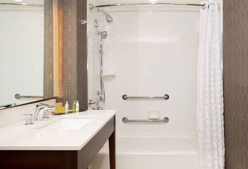 Номер Стандарт Кровать Кинг Адаптированный для Инвалидов, Doubletree By Hilton Hotel & Suites Charleston Airport