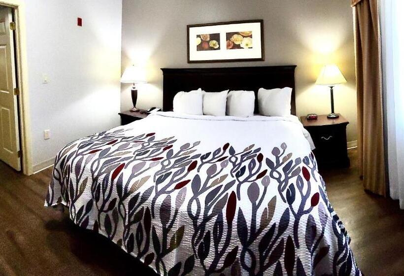 سوئیت با تخت بزرگ, Red Roof Inn & Suites Midland