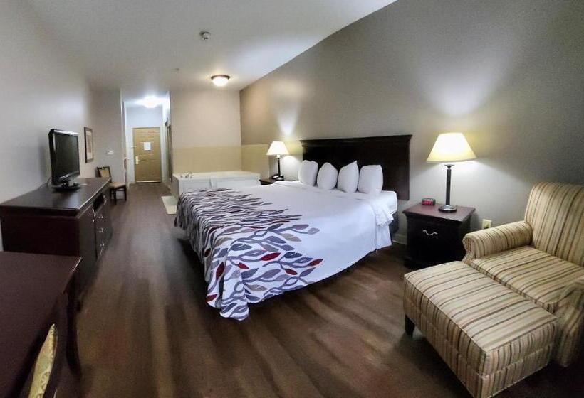 اتاق سوپریور برای معلولان, Red Roof Inn & Suites Midland