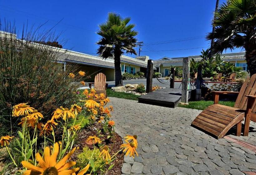 디럭스 패밀리 룸, Beach Bungalow Inn And Suites