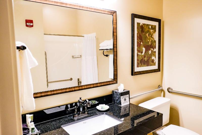 Номер Стандартный Кровать Куин, Best Western Plus Dutch Haus Inn And Suites
