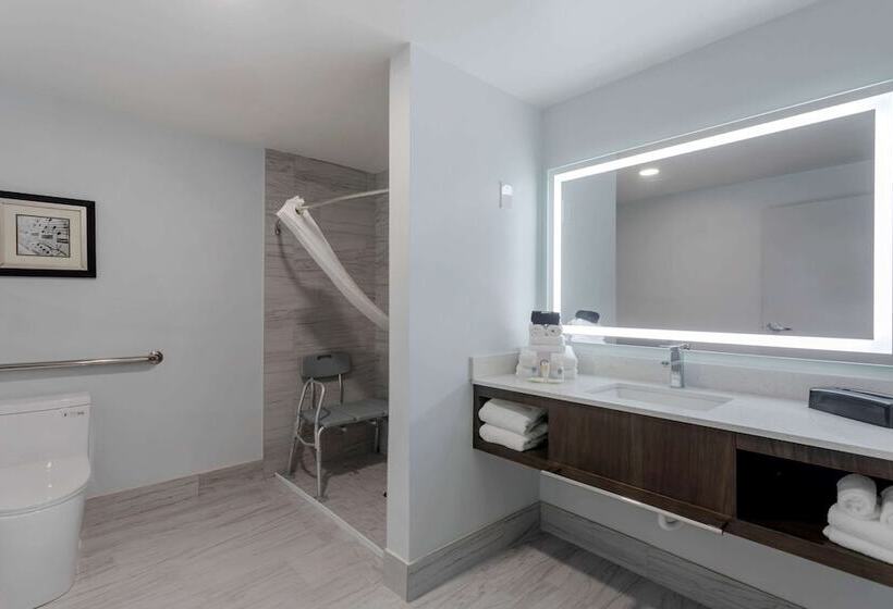 套房, Comfort Suites Mt. Julietnashville Area