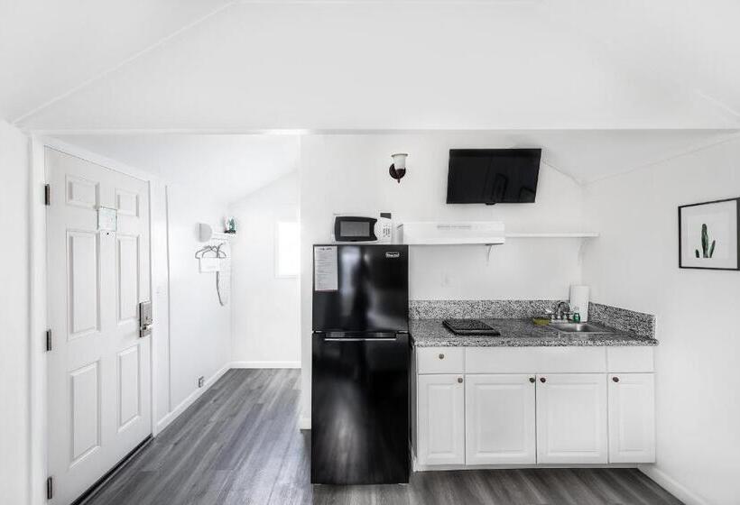 Standaard Studio, Hermosa