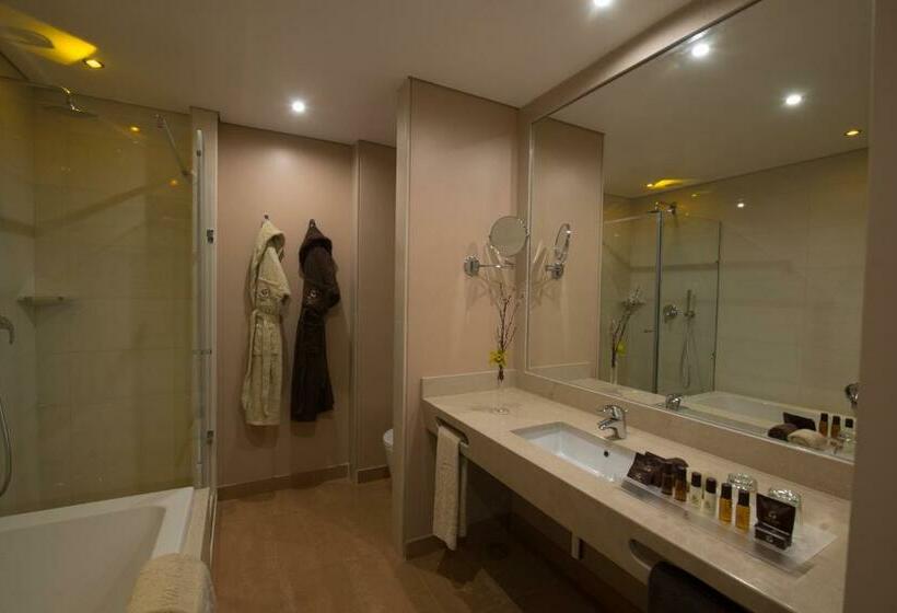 스탠다드 룸 풀장 전망, Vila Gale Collection Palacio Dos Arcos