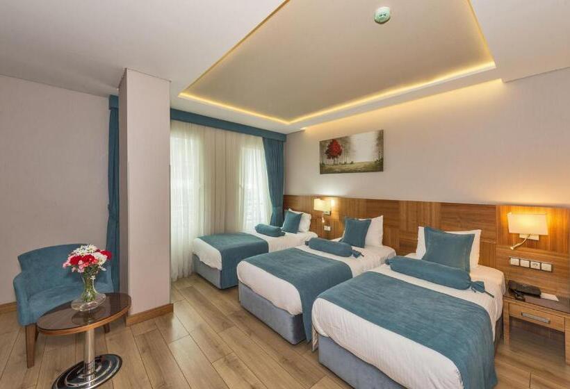 اتاق استاندارد سه نفره, The Meretto Hotel Istanbul Old City