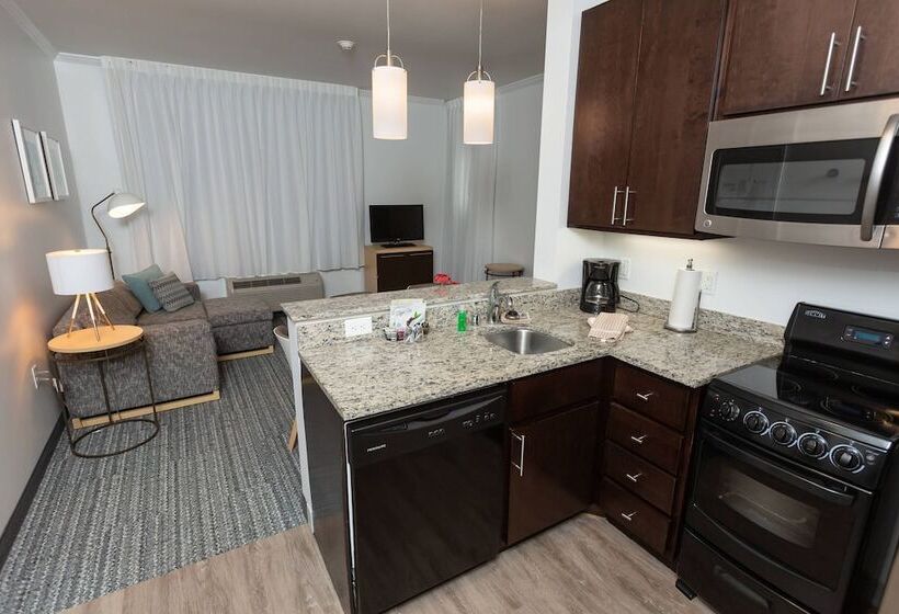 Люкс 2 Спальни, Towneplace Suites By Marriott Bowling Green