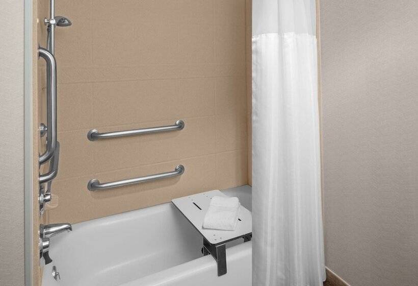 Номер Стандарт Адаптированный для Инвалидов, Hilton Garden Inn Salt Lake City Airport