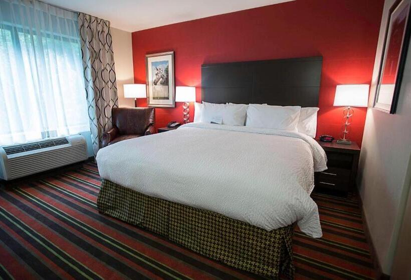 اتاق استاندارد با تخت بزرگ, Fairfield Inn & Suites By Marriott Moscow