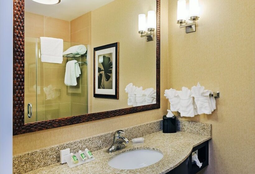 身障者適用スタンダードルーム, Hilton Garden Inn Midland