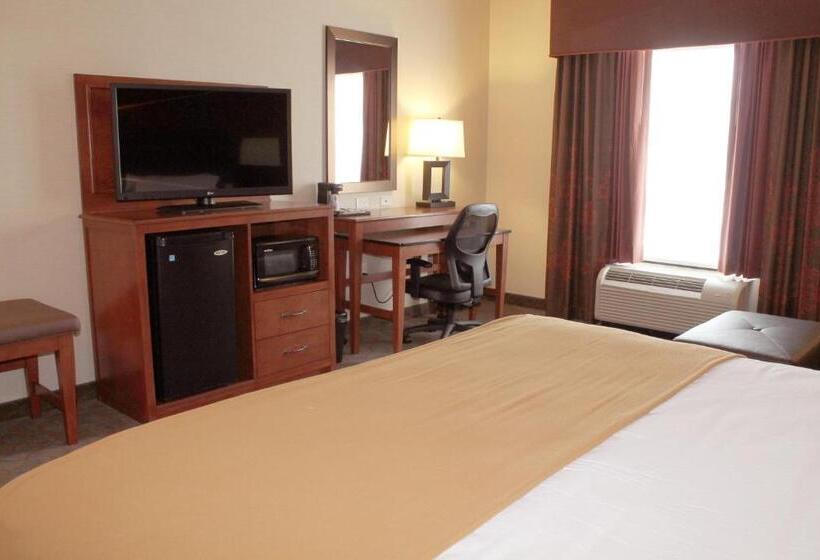 اتاق استاندارد با تخت بزرگ, Holiday Inn Express & Suites Paducah West, An Ihg