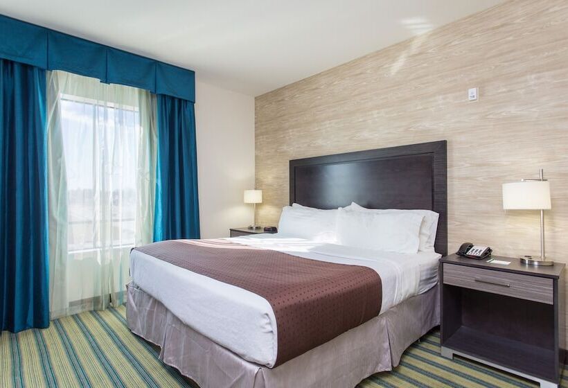 Люкс Адаптированный для Инвалидов, Holiday Inn Texarkana Arkansas Convention Center, An Ihg