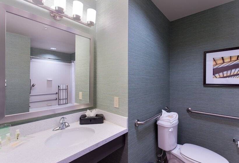 Люкс Адаптированный для Инвалидов, Holiday Inn Texarkana Arkansas Convention Center, An Ihg