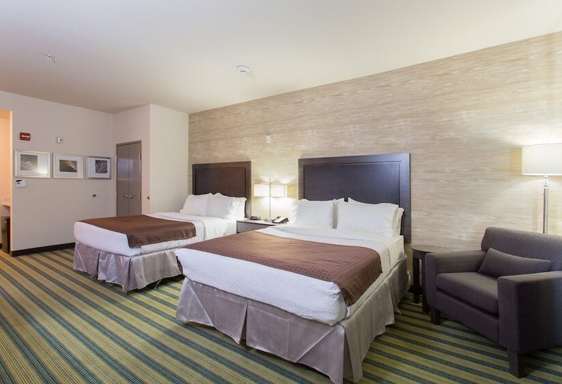 اتاق استاندارد برای معلولان, Holiday Inn Texarkana Arkansas Convention Center, An Ihg