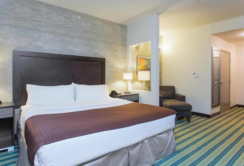 اتاق اجرایی با تخت بزرگ, Holiday Inn Texarkana Arkansas Convention Center, An Ihg