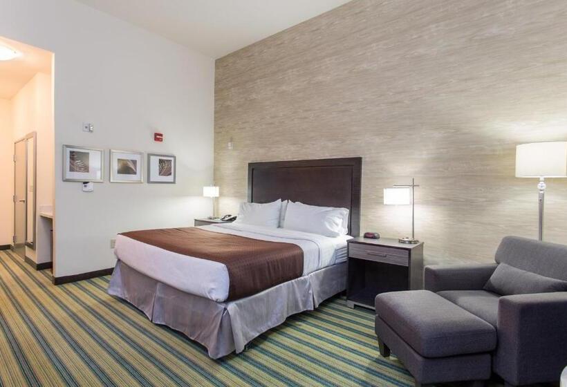 اتاق استاندارد با تخت بزرگ, Holiday Inn Texarkana Arkansas Convention Center, An Ihg