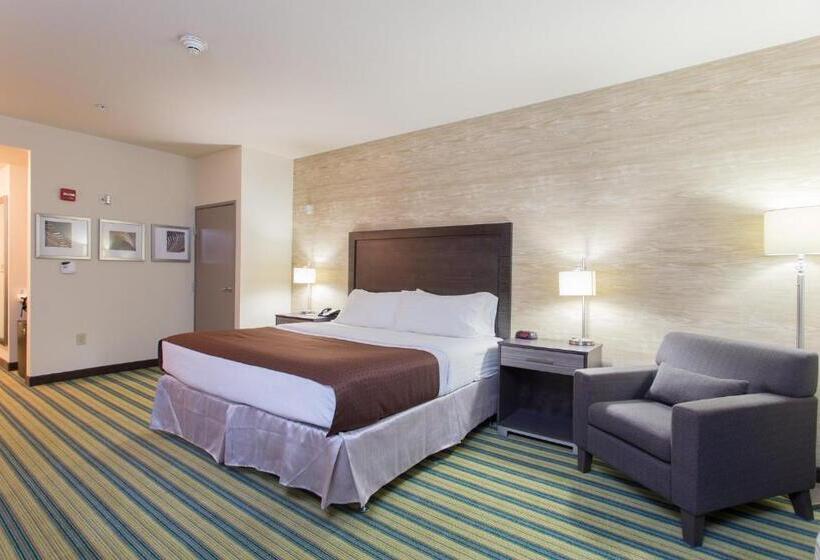 Номер Стандарт, Holiday Inn Texarkana Arkansas Convention Center, An Ihg