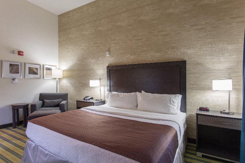 Номер Executive Кровать Кинг, Holiday Inn Texarkana Arkansas Convention Center, An Ihg