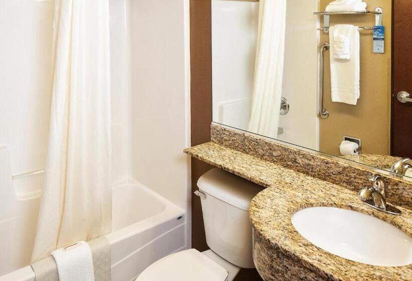 Номер Deluxe Адаптированный для Инвалидов, Microtel Inn & Suites By Wyndham St Clairsville   Wheeling
